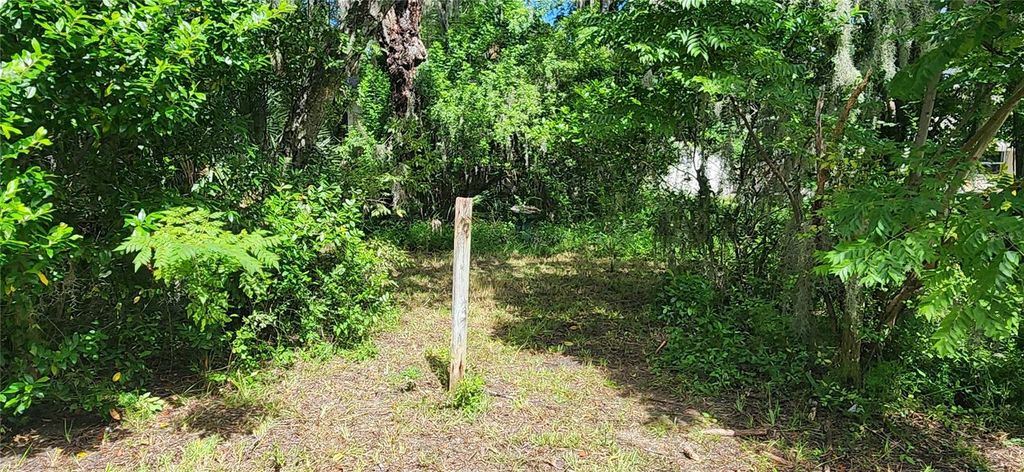 Photo of 527 Westmoreland Road, Daytona Beach, FL 32114 (MLS # NS1086214)