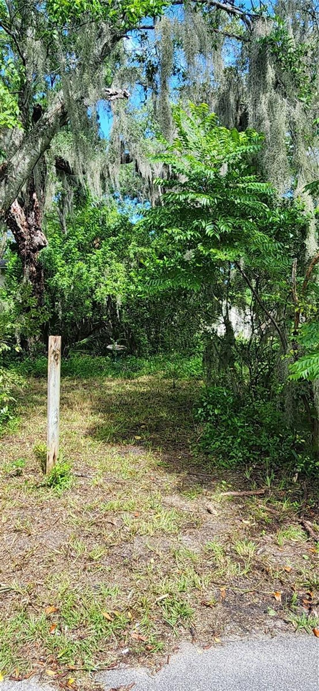 Photo of 527 Westmoreland Road, Daytona Beach, FL 32114 (MLS # NS1086214)
