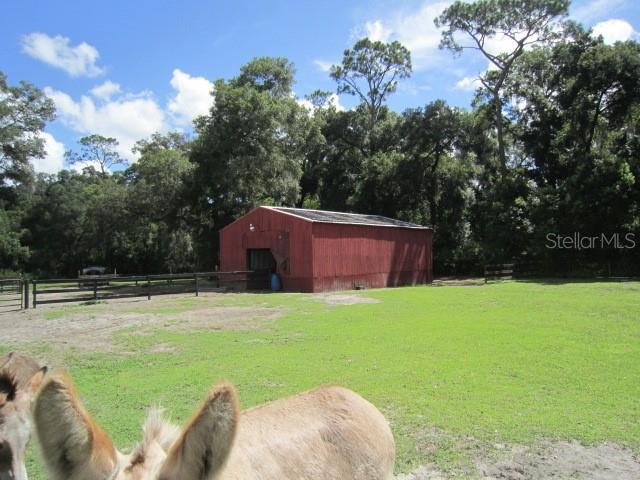 TANGELO ESTATES - Residential