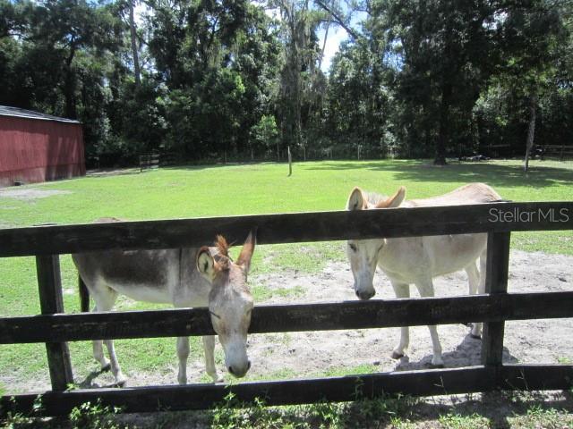 TANGELO ESTATES - Residential