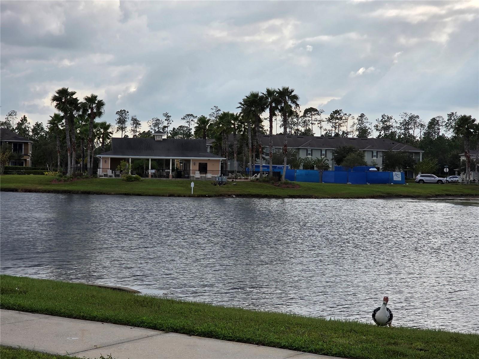 GRANDE CHAMPION PRCL SW-29 PH - Residential Lease