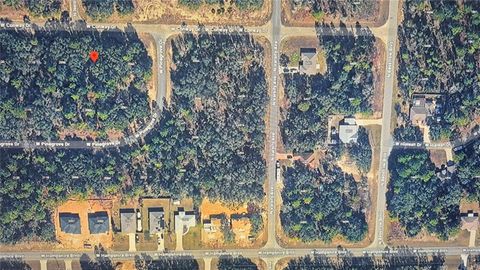 Tiny photo for 2084 W Conway Drive, Dunnellon, FL 34434 (MLS # O6395128)