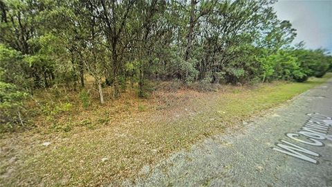 Tiny photo for 2084 W Conway Drive, Dunnellon, FL 34434 (MLS # O6395128)