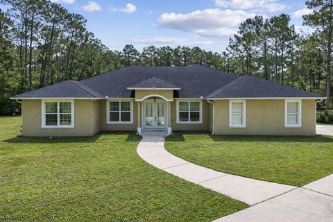 Photo of 859 Leather Fern Lane, Mims, FL 32754 (MLS # O6326120)