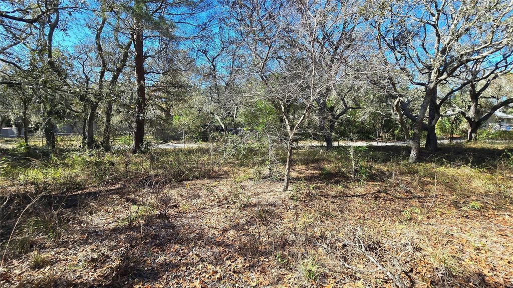 Photo of 15609 Becky Lane, Hudson, FL 34667 (MLS # TB8467868)