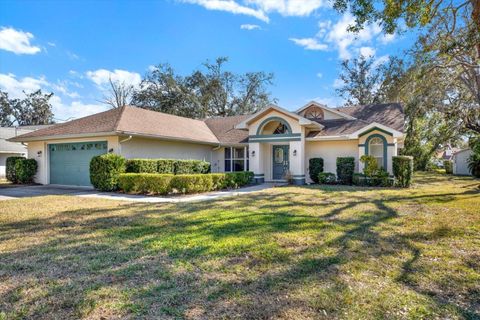 A home in SPRING HILL