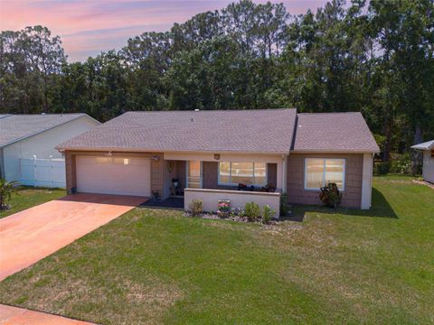 1144 LANYARD STREET PALM HARBOR FL 34685