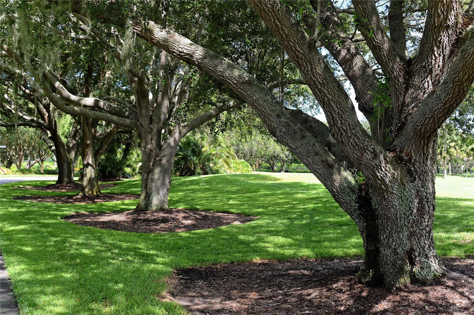 OAKS - Residential