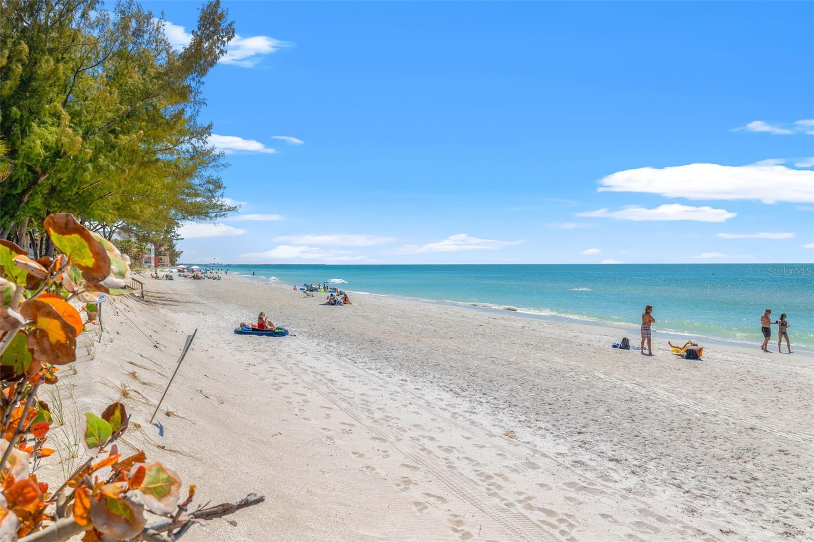 OCONNELLS REP - Residential