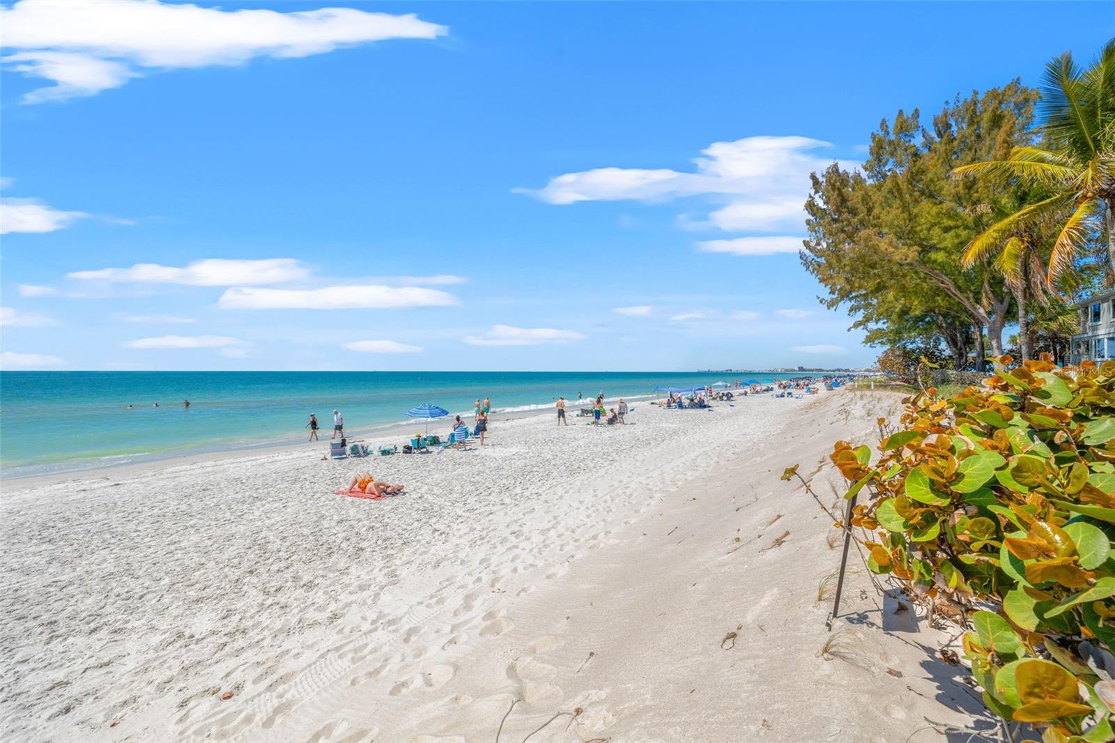 OCONNELLS REP - Residential