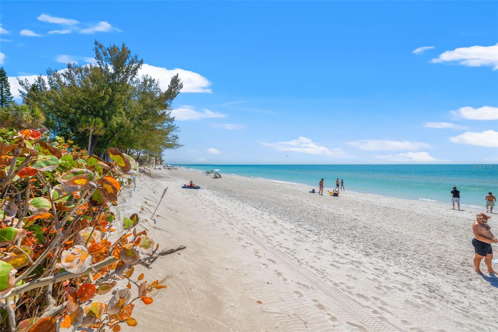 OCONNELLS REP - Residential