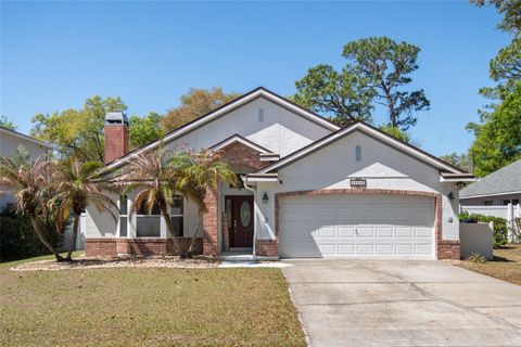Photo of 25249 Ironwedge Drive, Sorrento, FL 32776 (MLS # O6392184)