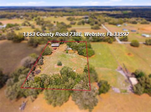 Photo of 1353 Cr 738e, Webster, FL 33597 (MLS # TB8484033)