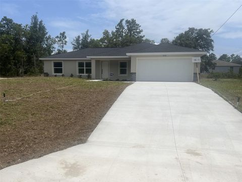 Photo of 2448 W Chamberlain Street, Citrus Springs, FL 34434 (MLS # OM702908)