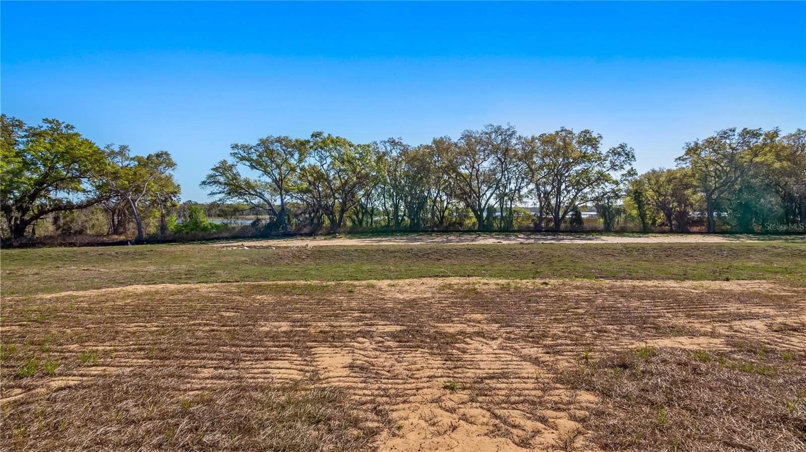 MARIGOLD BELLE CIRCLE