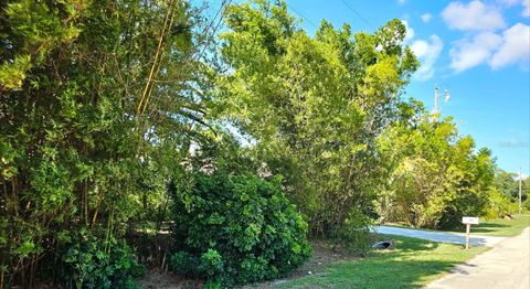 A home in LEHIGH ACRES