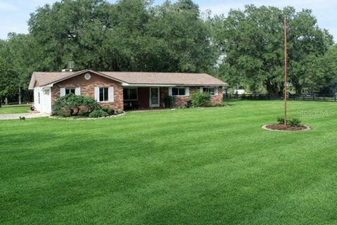 Photo of 13124 NW 160th Avenue, Morriston, FL 32668 (MLS # TB8511652)