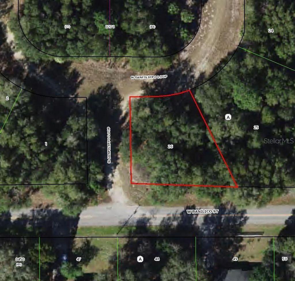 Photo of 8549 N San Filippo Loop, Crystal River, FL 34428 (MLS # TB8452072)