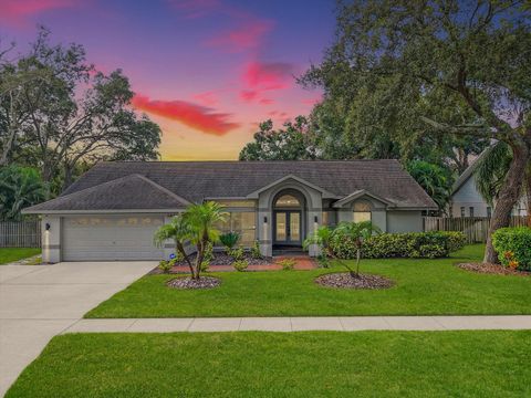 3805 CLIFFDALE DRIVE VALRICO FL 33594