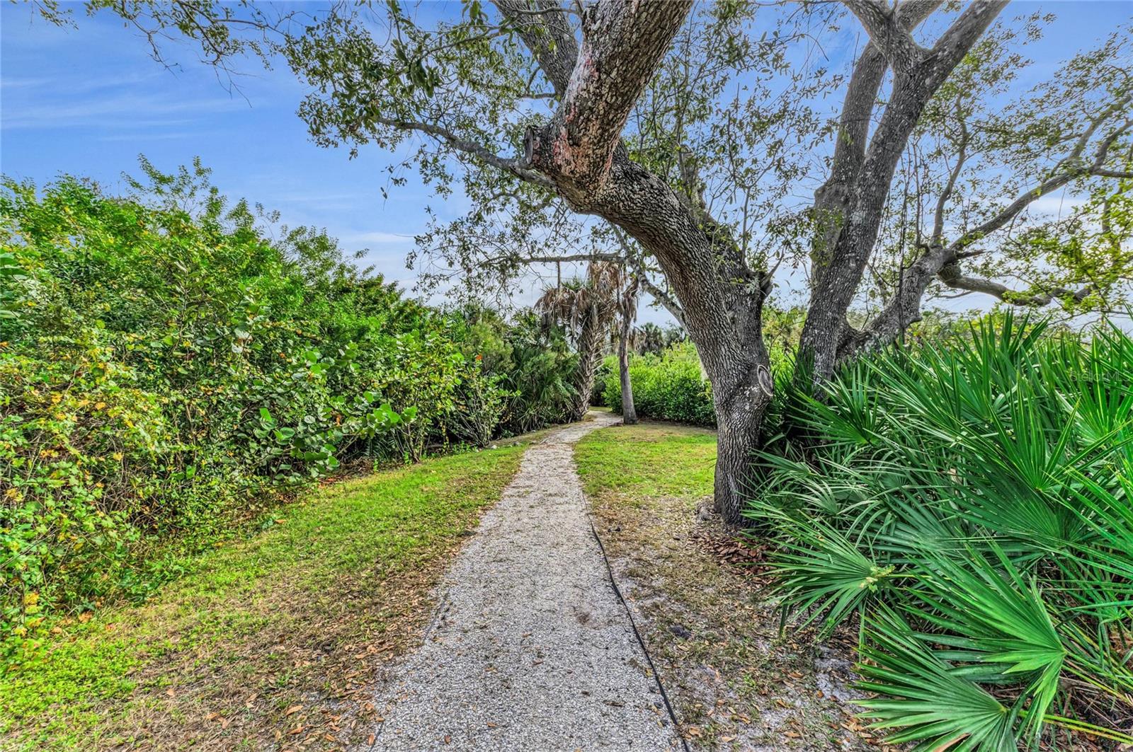 HERONS COVE - Residential