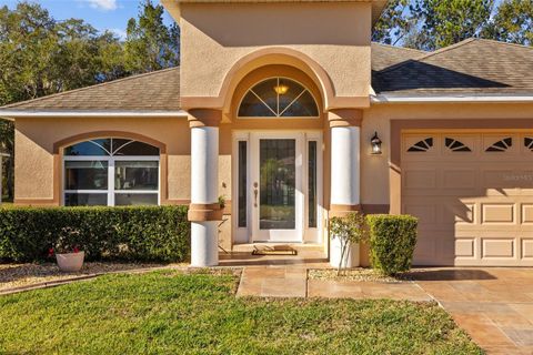 A home in BROOKSVILLE