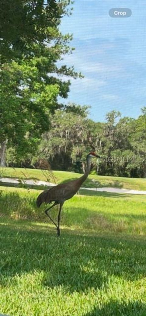 A home in BROOKSVILLE