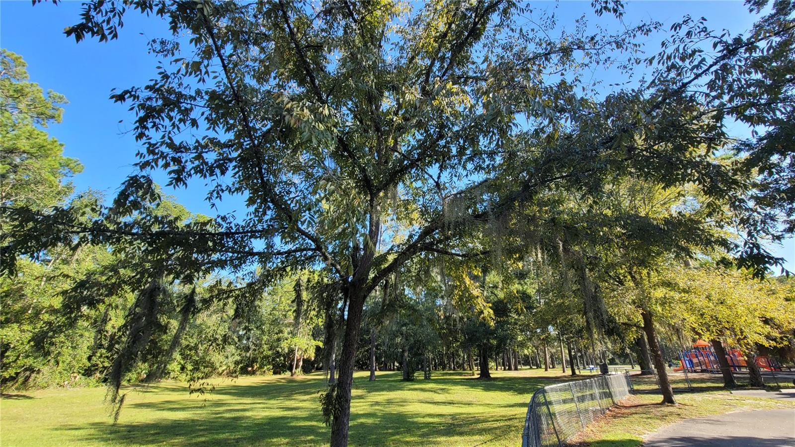 RIDGEVIEW - Residential Lease
