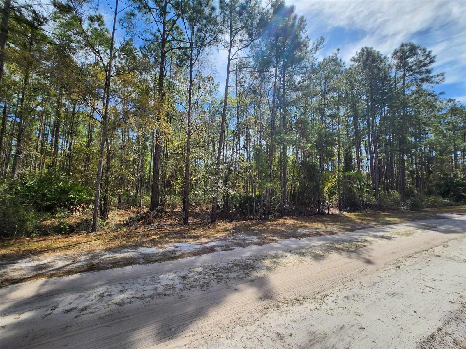 LAKE GEORGE MANOR - Land