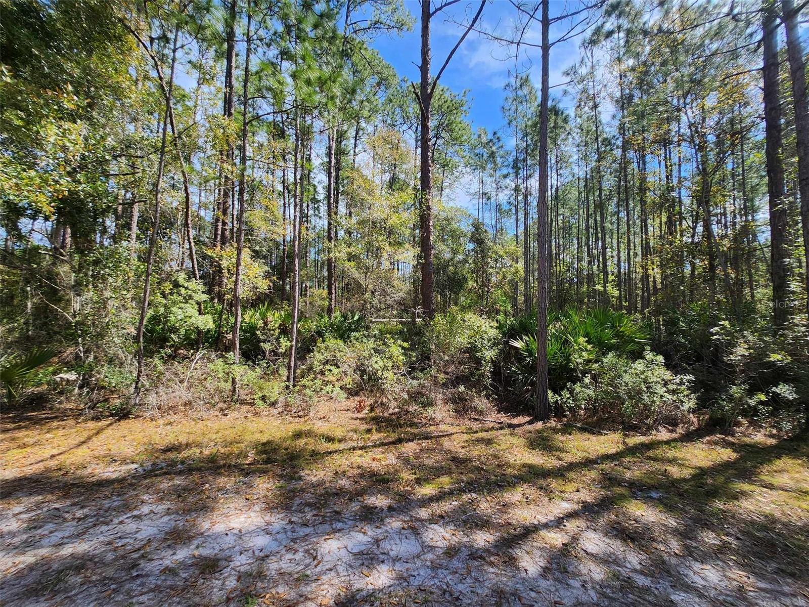 LAKE GEORGE MANOR - Land