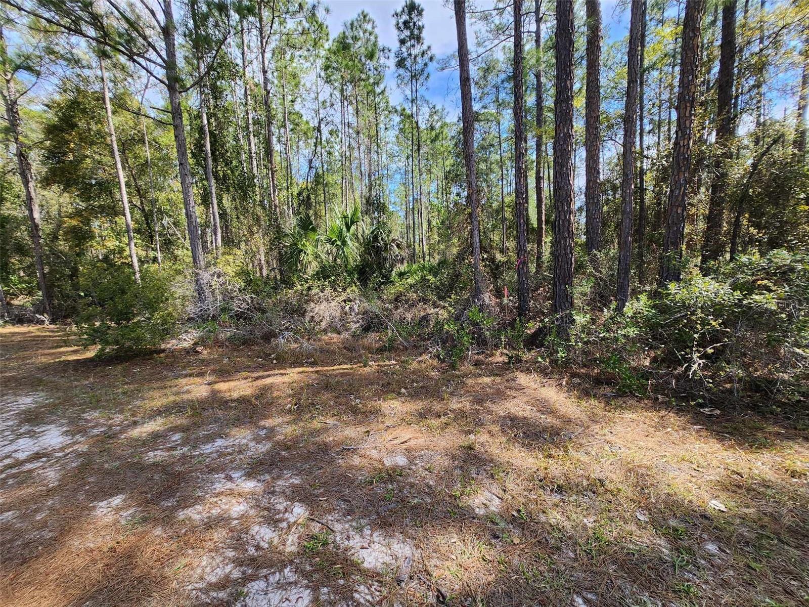 LAKE GEORGE MANOR - Land