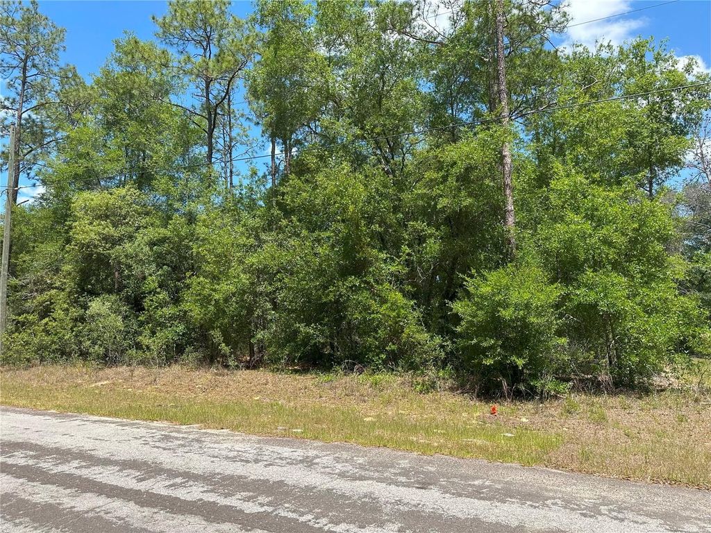 Photo of 1571 W Alexander Drive, Citrus Springs, FL 34434 (MLS # W7875472)