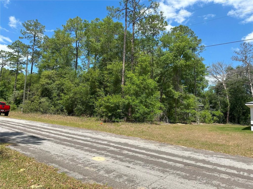 Photo of 1571 W Alexander Drive, Citrus Springs, FL 34434 (MLS # W7875472)