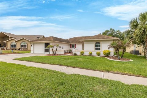 1213 VENETIA DRIVE SPRING HILL FL 34608