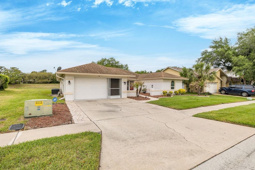 Photo of 1213 Venetia Drive, Spring Hill, FL 34608 (MLS # W7884752)