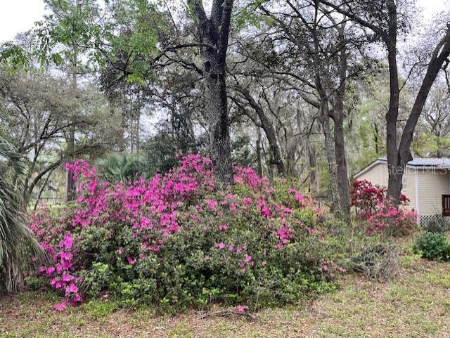 WILLISTON HIGHLANDS - Residential