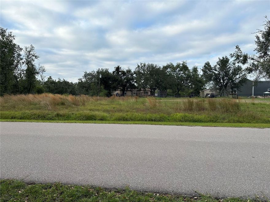 GREAT LOCATION! The seller wants to sell both lots together. Seller will sell both for $55,000. Information for second Parcel #0089793 000000 4 MLS C7483187. Address is 29366 Goodhue St Punta Gorda, Fl 33982. Paved roads, quiet area and just a short drive to shopping and down town Punta Gorda. Also just another short drive to our area's best antique stores in Arcadia.
