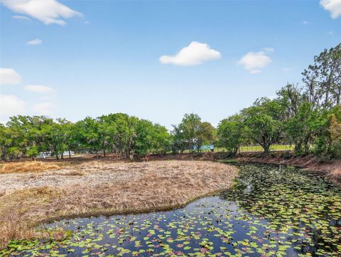 Tiny photo for 22431 Loop Road, Groveland, FL 34736 (MLS # G5110165)