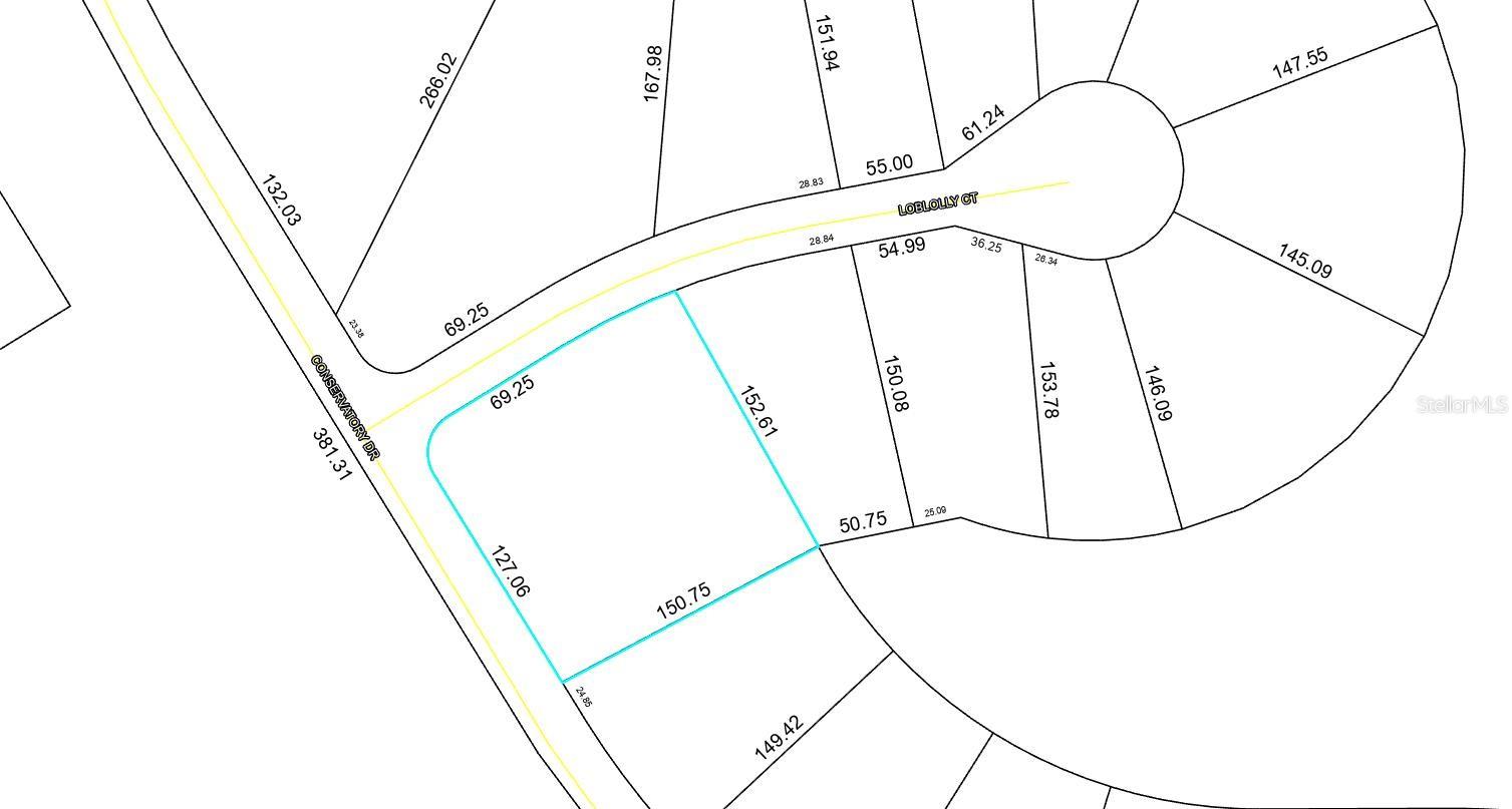 225 CONSERVATORY DRIVE