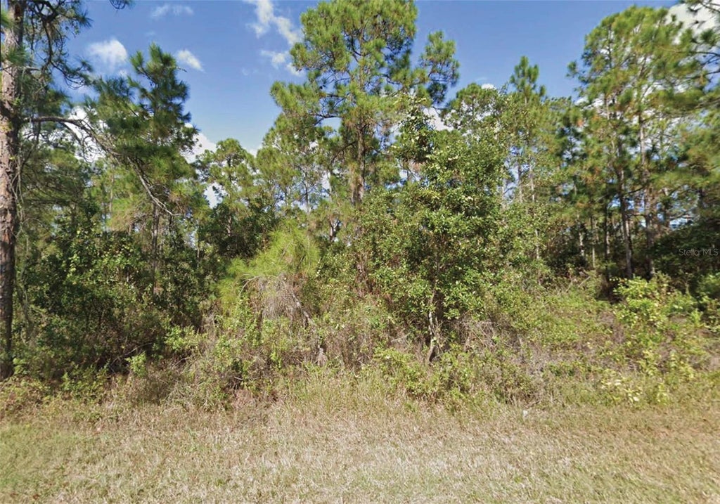 Photo of 203 Gardenia Drive, Indian Lake Estates, FL 33855 (MLS # O6438255)