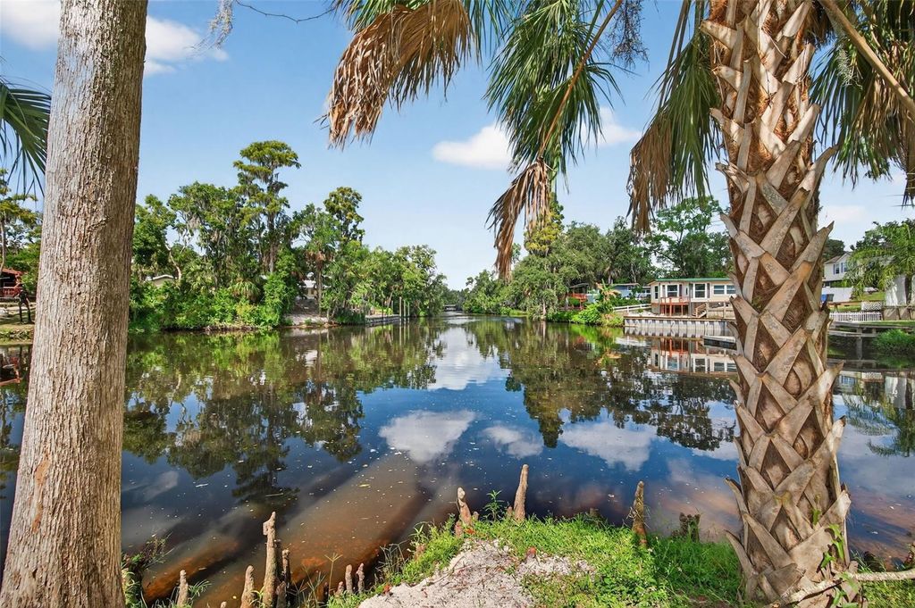 Photo of 3924 Alafia Boulevard, Brandon, FL 33511 (MLS # TB8434766)