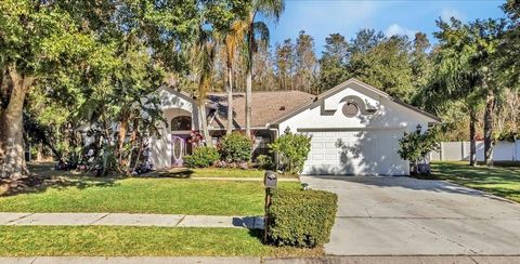 A home in LAND O LAKES