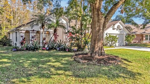 A home in LAND O LAKES