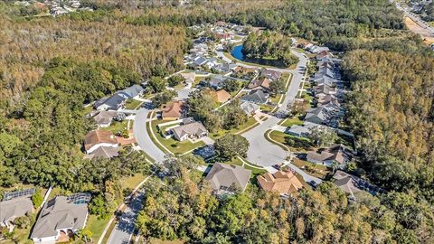 A home in LAND O LAKES