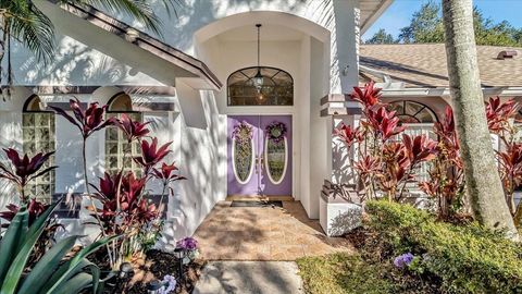 A home in LAND O LAKES