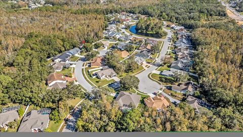 A home in LAND O LAKES