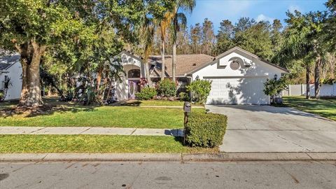 A home in LAND O LAKES