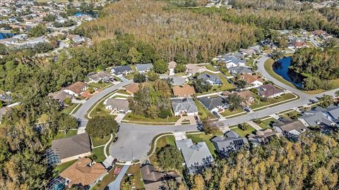 A home in LAND O LAKES