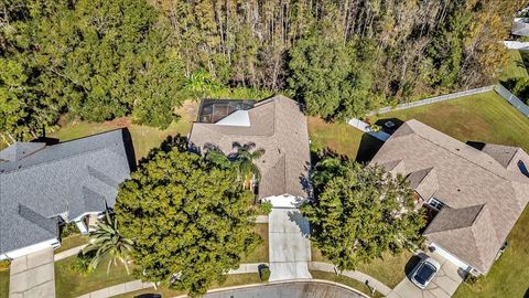 A home in LAND O LAKES