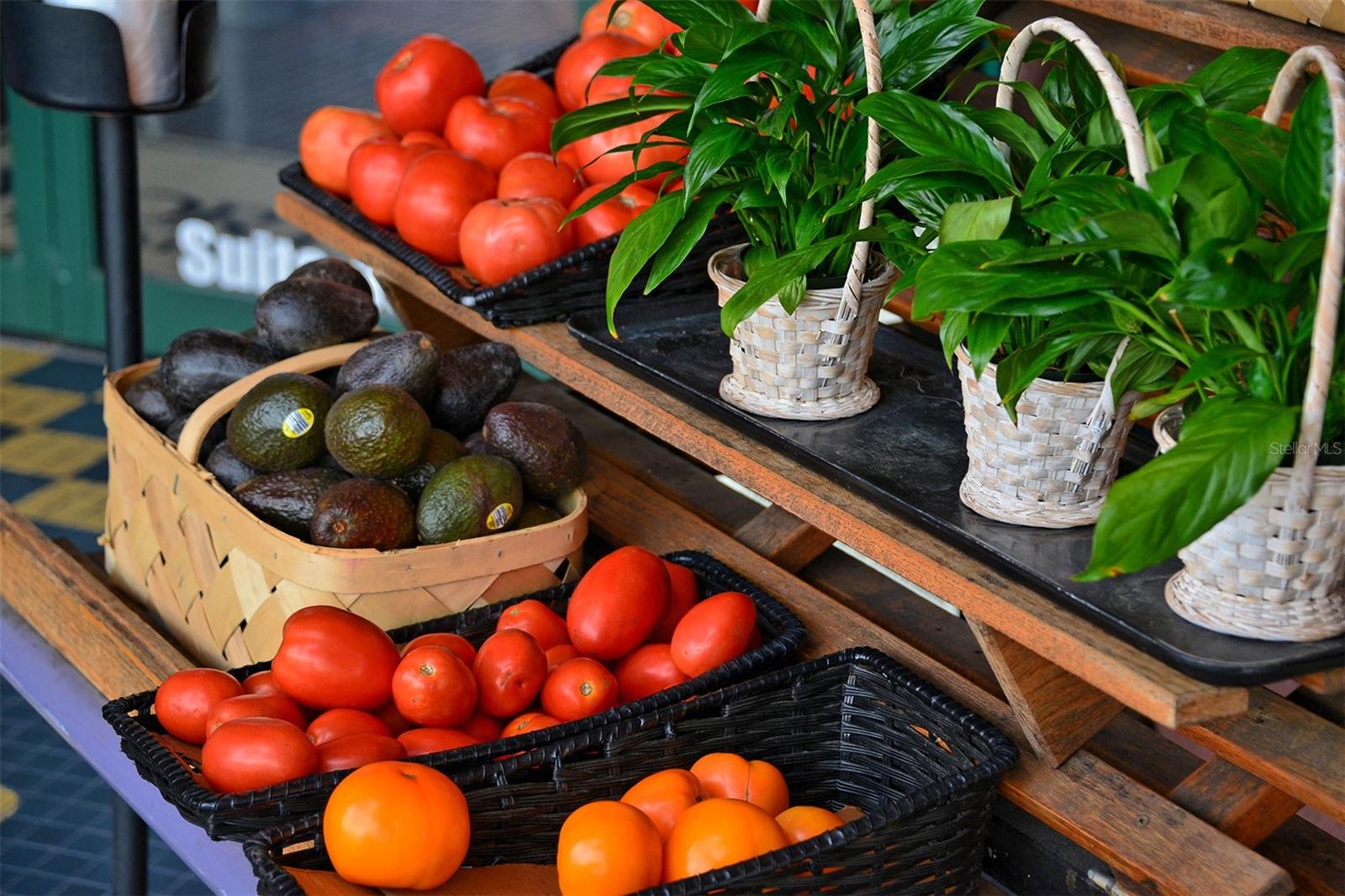 MIDWOOD MANOR - Residential