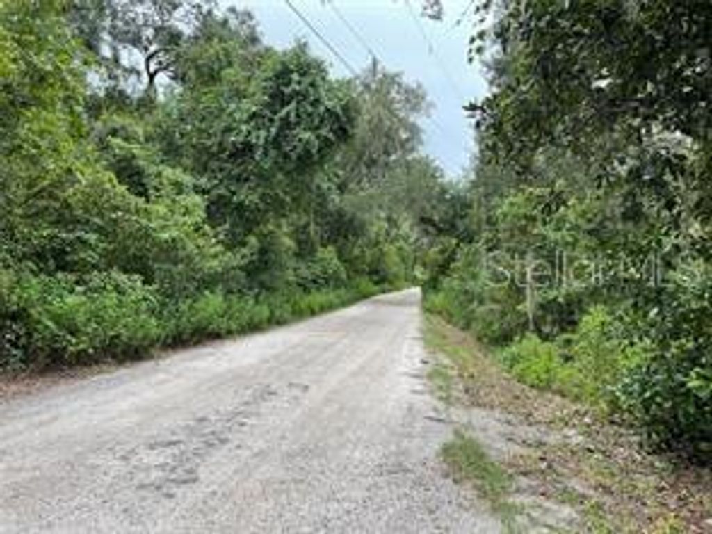 Photo of 5416 Miley Road, Plant City, FL 33565 (MLS # TB8445918)